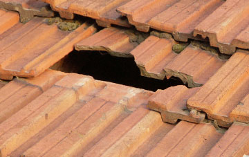 roof repair Nefod, Shropshire